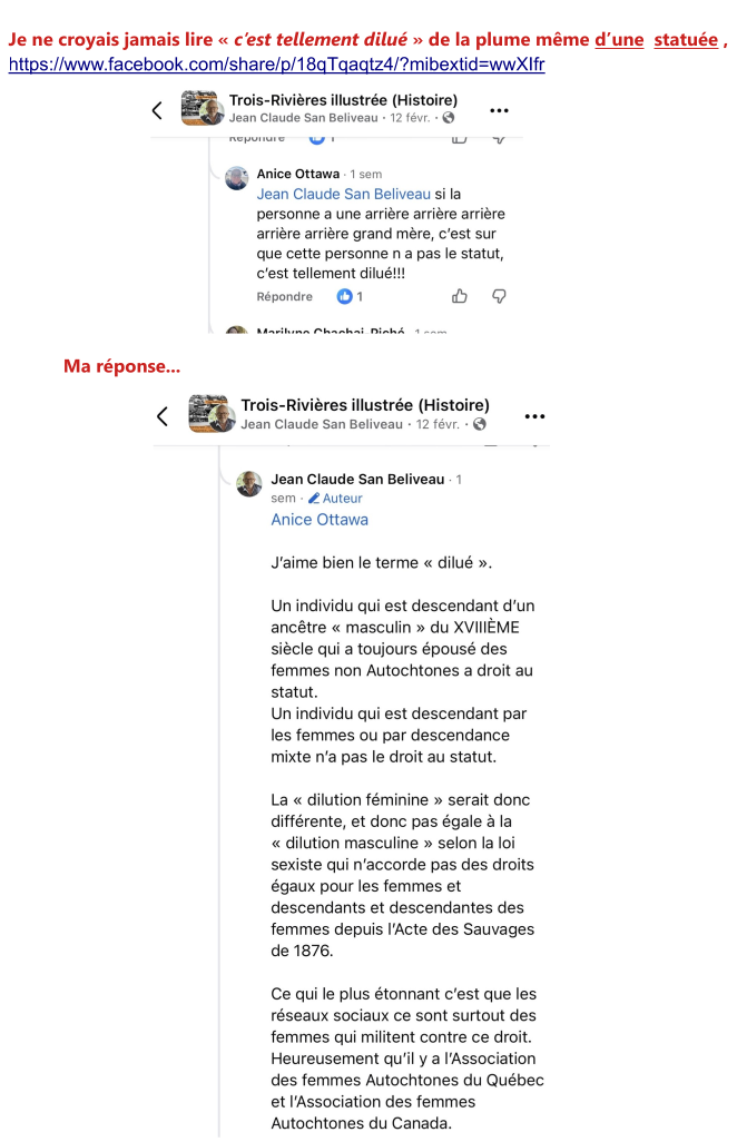 Descendance dilu&eacute;e selon Anice Ottawa